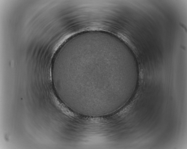 X0000103140934200809051611