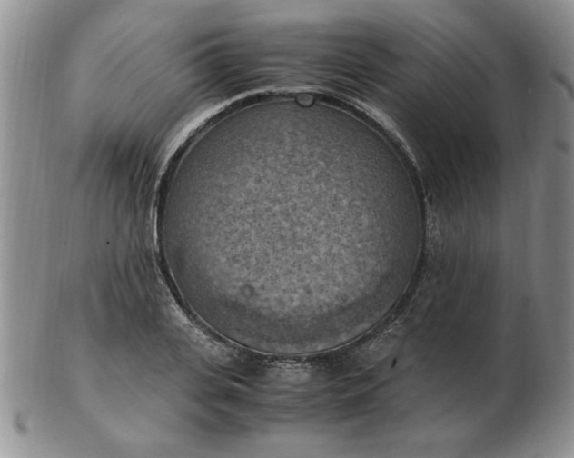 X0000103140935200809051611