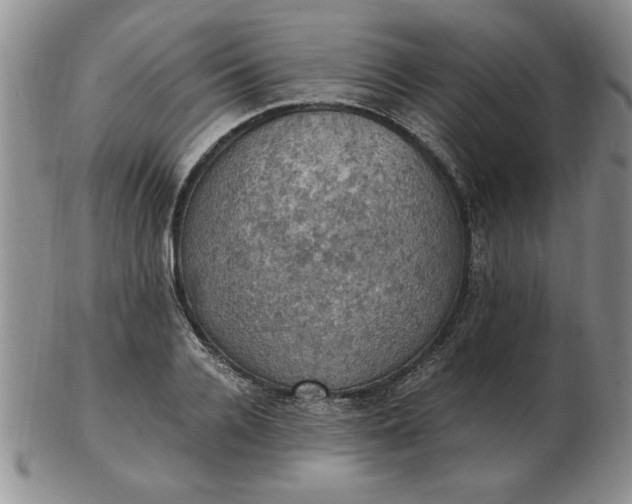 X0000103140936200809051611