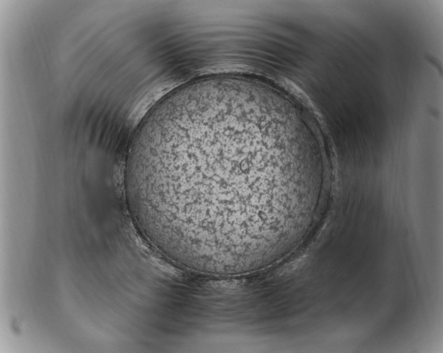 X0000103140937200809051611