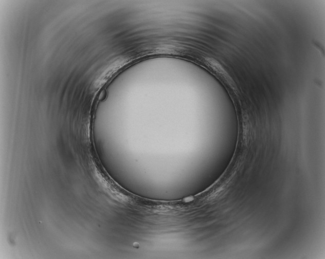 X0000103140938200809051611