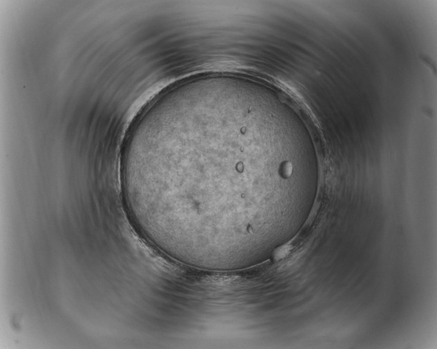 X0000103140939200809051611