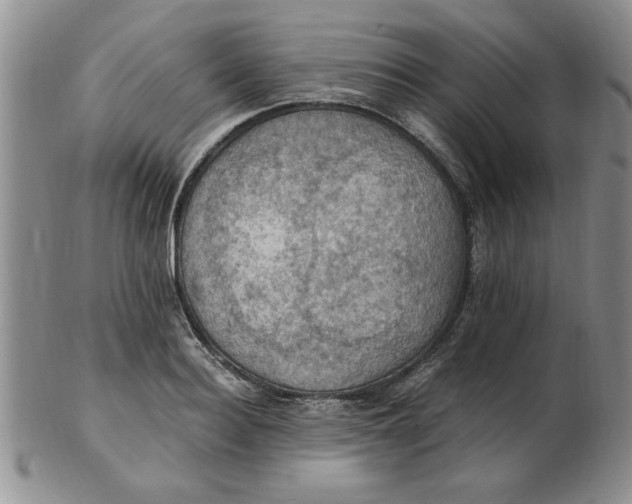 X0000103140940200809051611