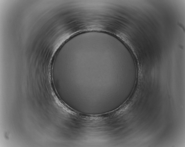 X0000103140941200809051611