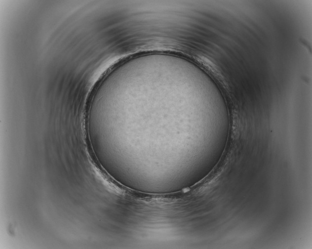 X0000103140942200809051611