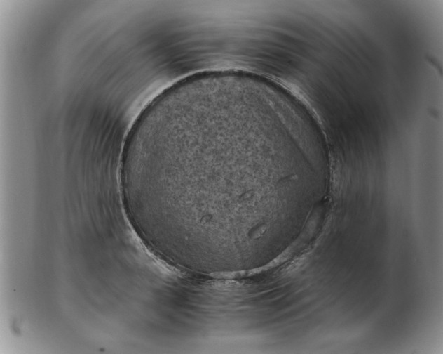 X0000103140943200809051611