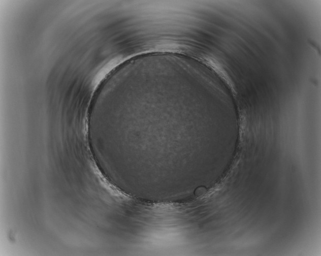 X0000103140944200809051611