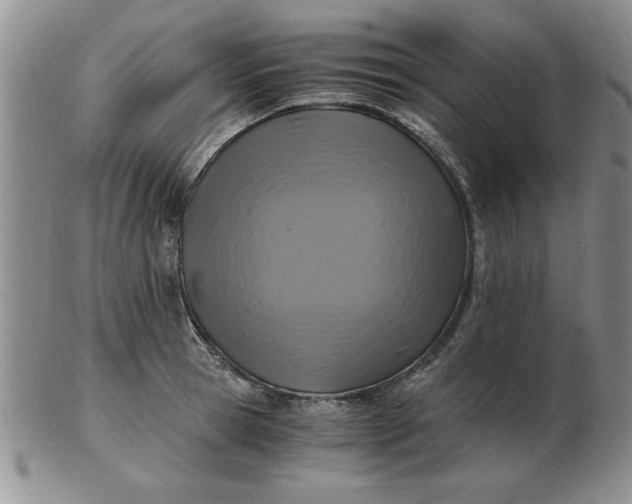 X0000103140945200809051611