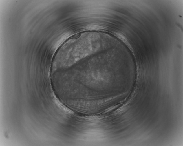 X0000103140946200809051611