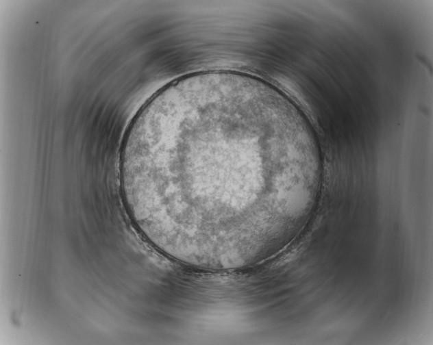 X0000103140948200809051611