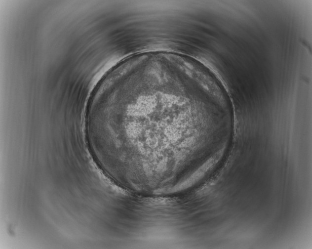 X0000103140949200809051611