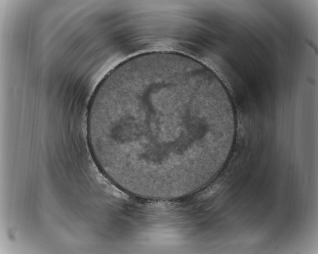 X0000103140950200809051611