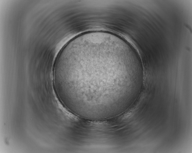 X0000103140951200809051611