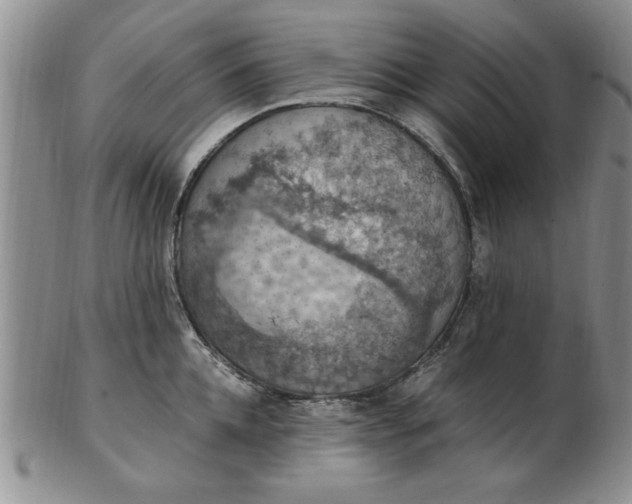 X0000103140952200809051611