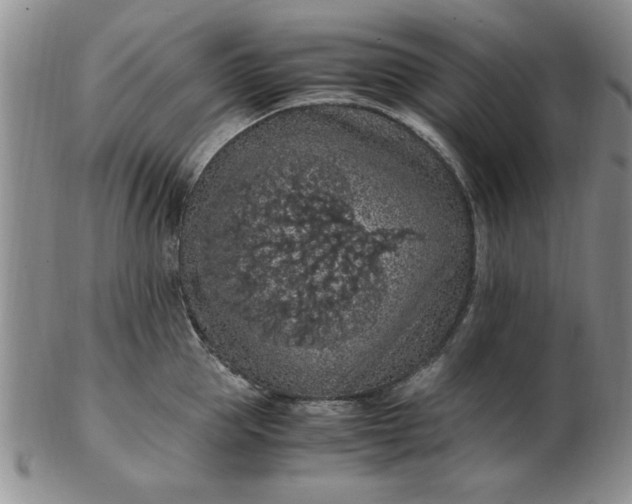 X0000103140953200809051611