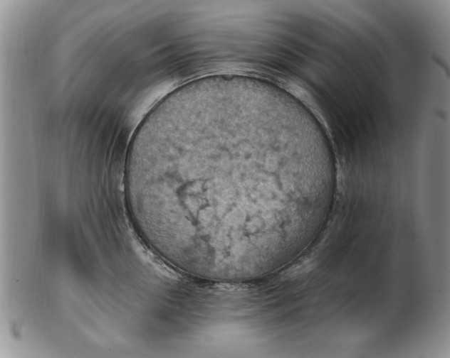 X0000103140954200809051611