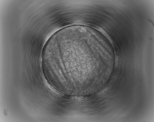 X0000103140955200809051611