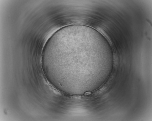 X0000103140956200809051611