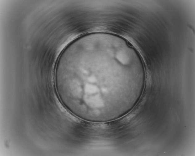 X0000103140957200809051611