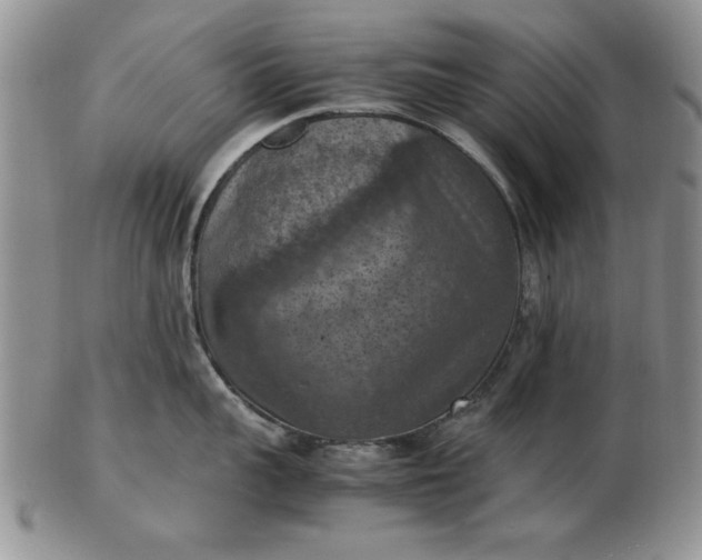 X0000103140959200809051611