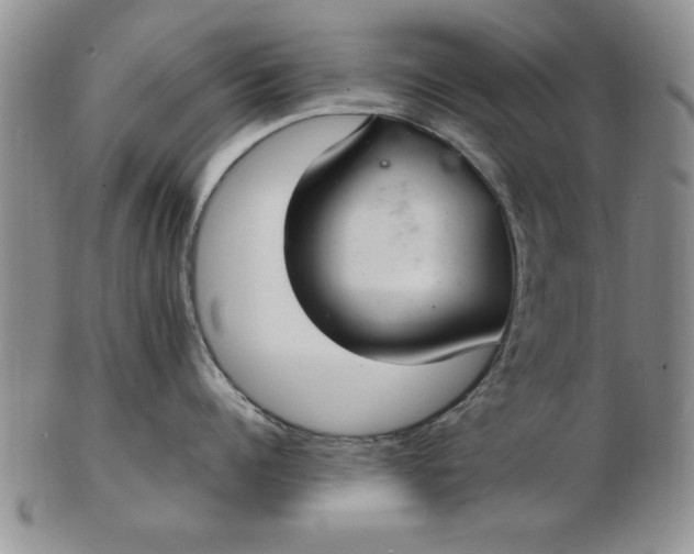 X0000103140960200809051611