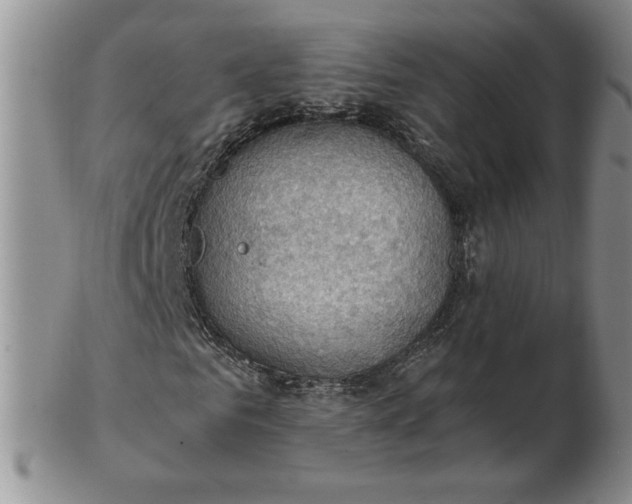 X0000103140961200809051611