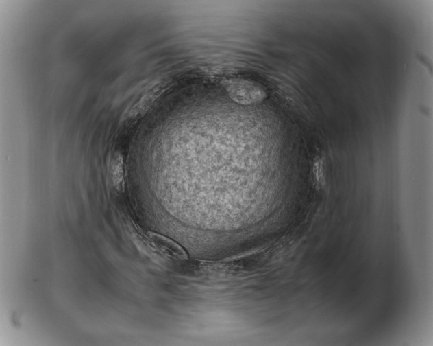 X0000103140963200809051611