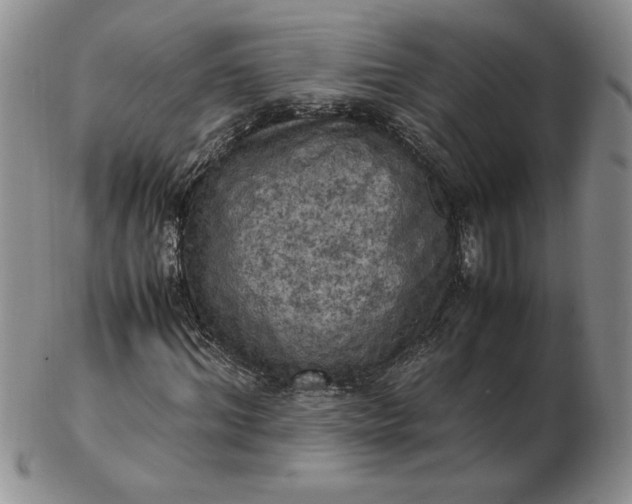 X0000103140964200809051611