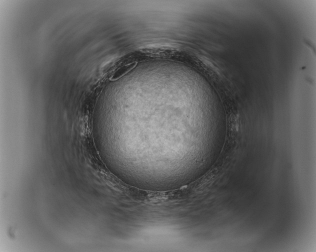 X0000103140965200809051611