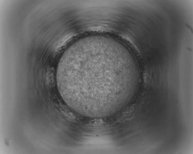 X0000103140968200809051611