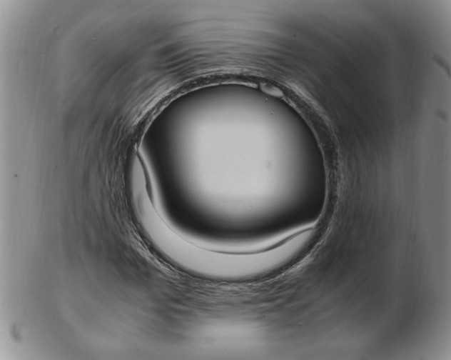 X0000103140969200809051611