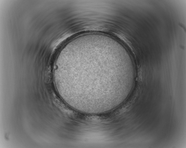 X0000103140971200809051611