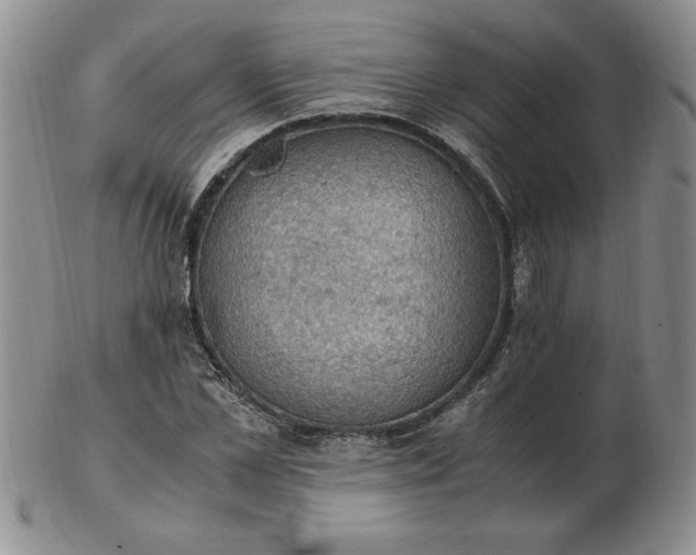 X0000103140973200809051610