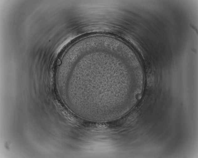 X0000103140975200809051610