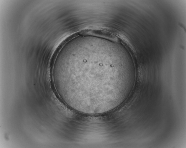 X0000103140976200809051610