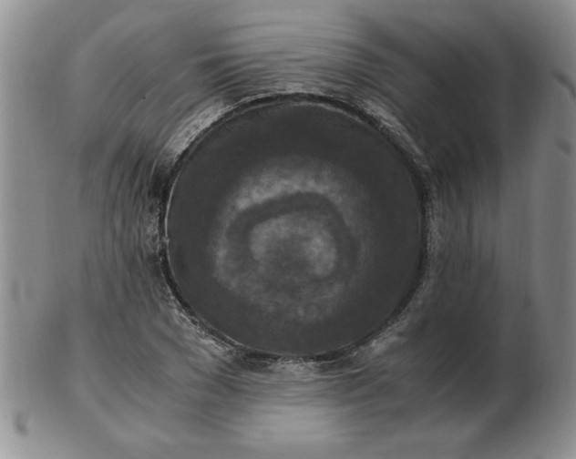 X0000103140977200809051610