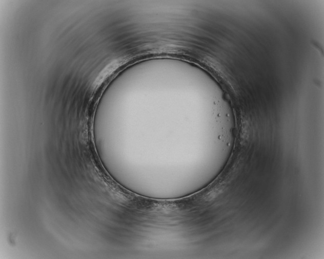 X0000103140978200809051610