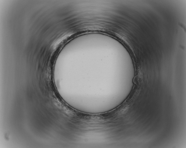 X0000103140979200809051610