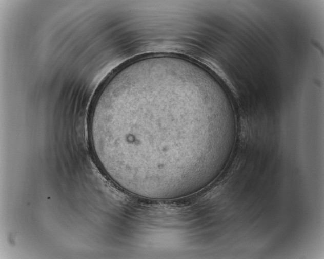 X0000103140980200809051610