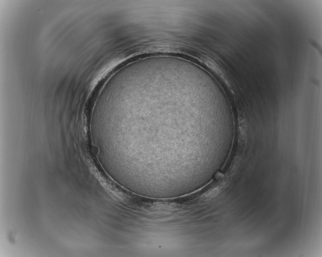 X0000103140981200809051610