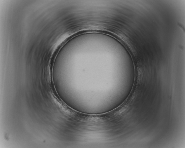 X0000103140982200809051610