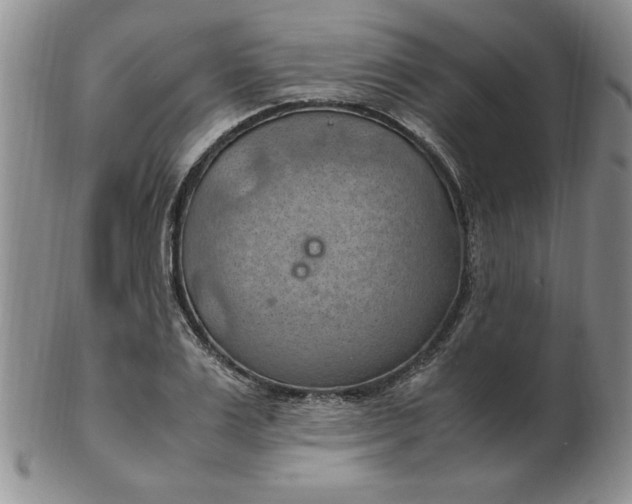 X0000103140983200809051610