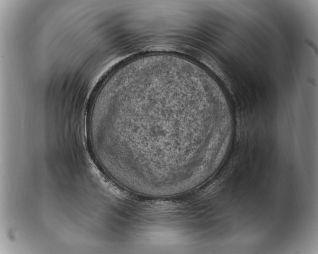 X0000103140984200809051610