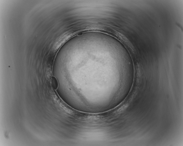 X0000103140985200809051610