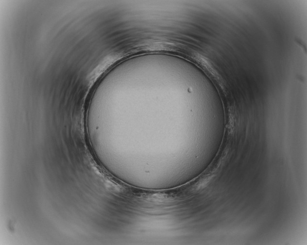 X0000103140986200809051610