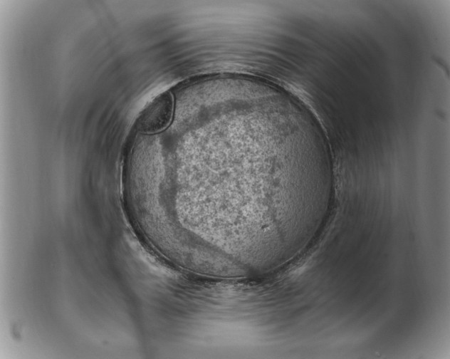 X0000103140987200809051610