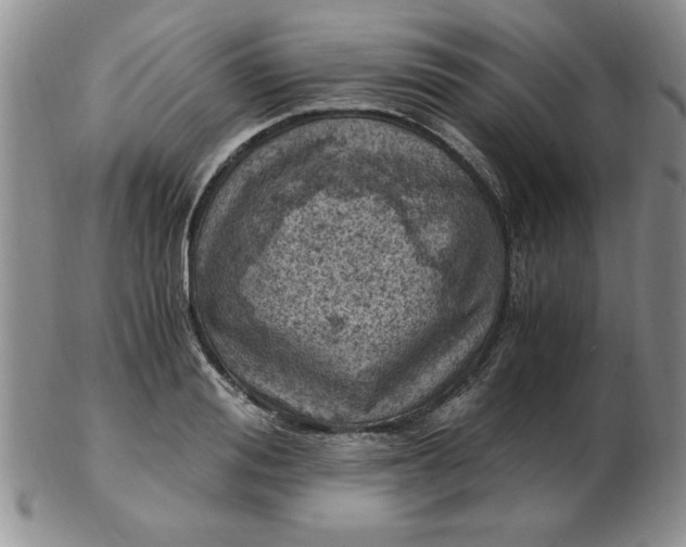 X0000103140988200809051610