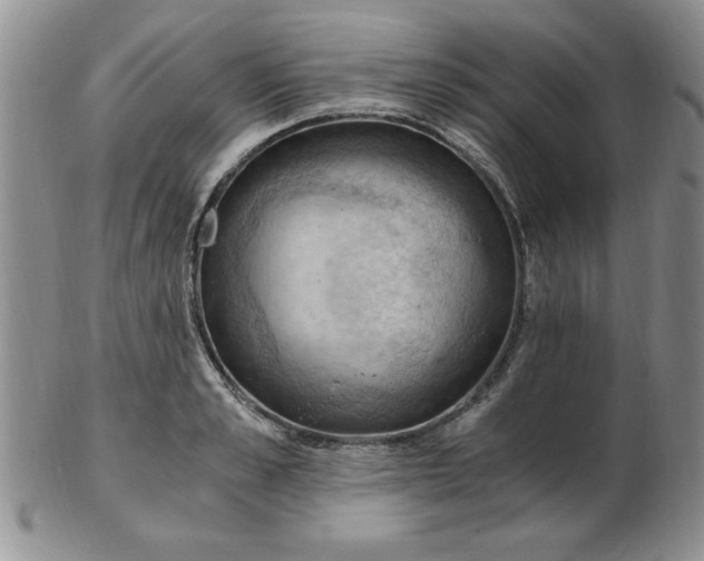 X0000103140989200809051610