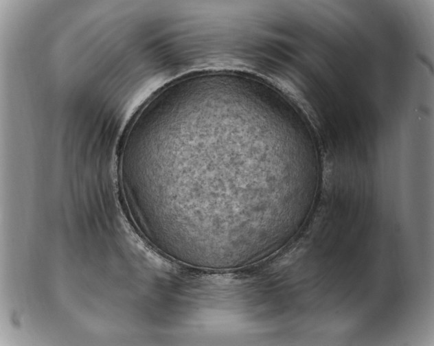 X0000103140990200809051610