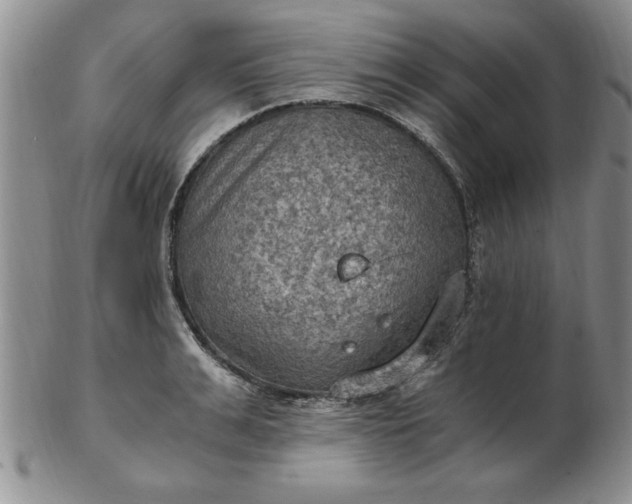 X0000103140991200809051610